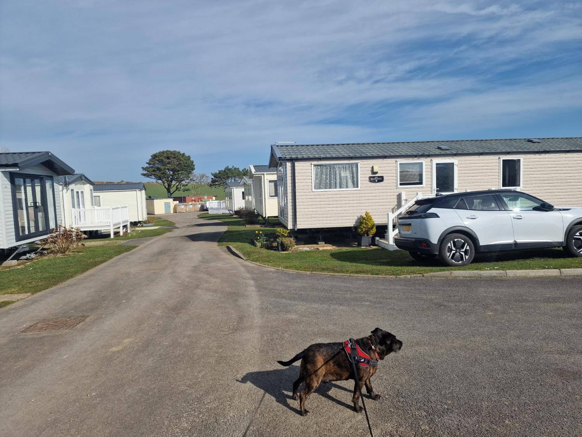 Hotel Durdlee Door, D27, Main Rd, West Lulworth, Wareham Bh20 5Pu Esterno foto